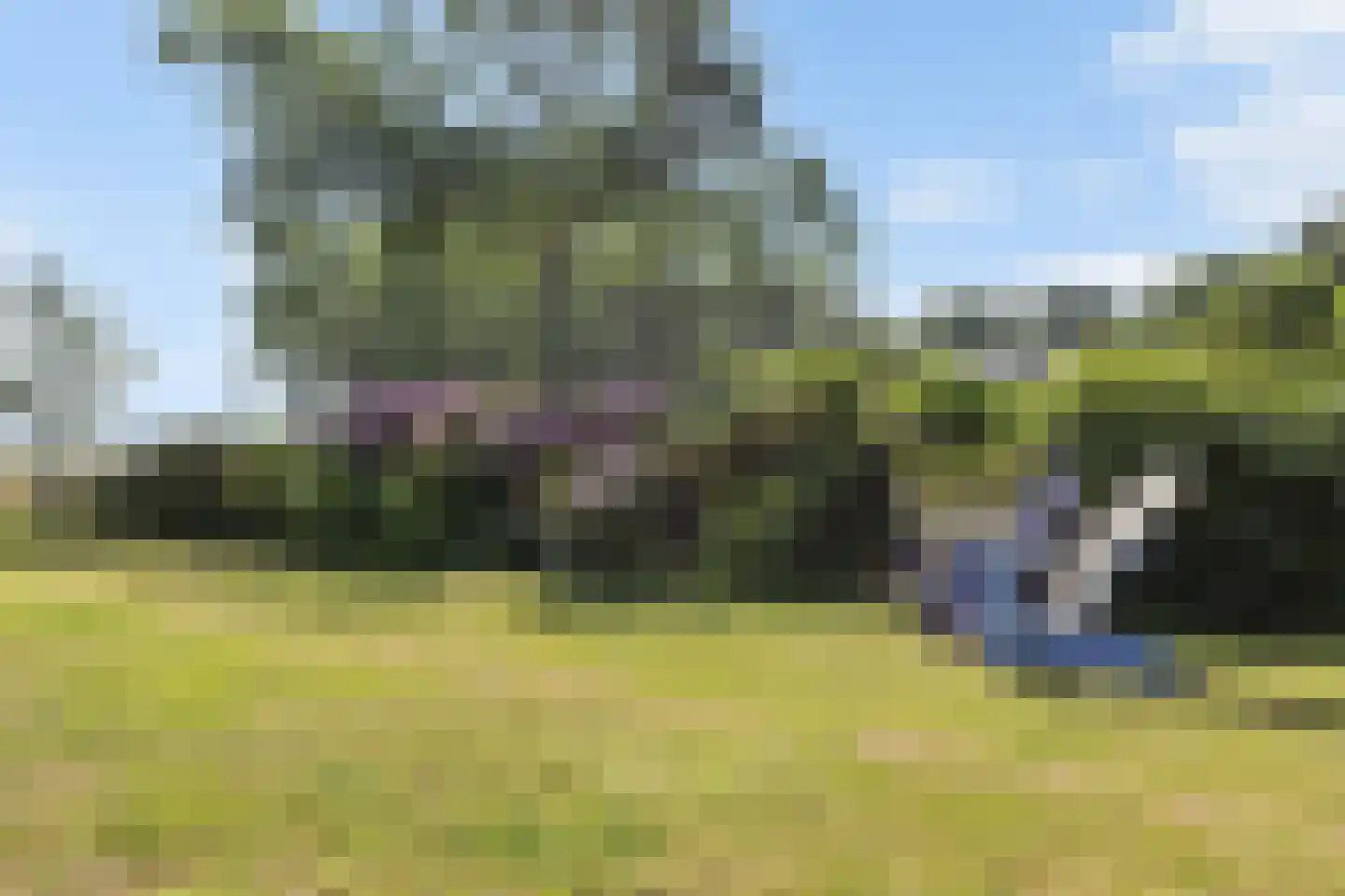 Travers 11 Naarden thumbnail 53