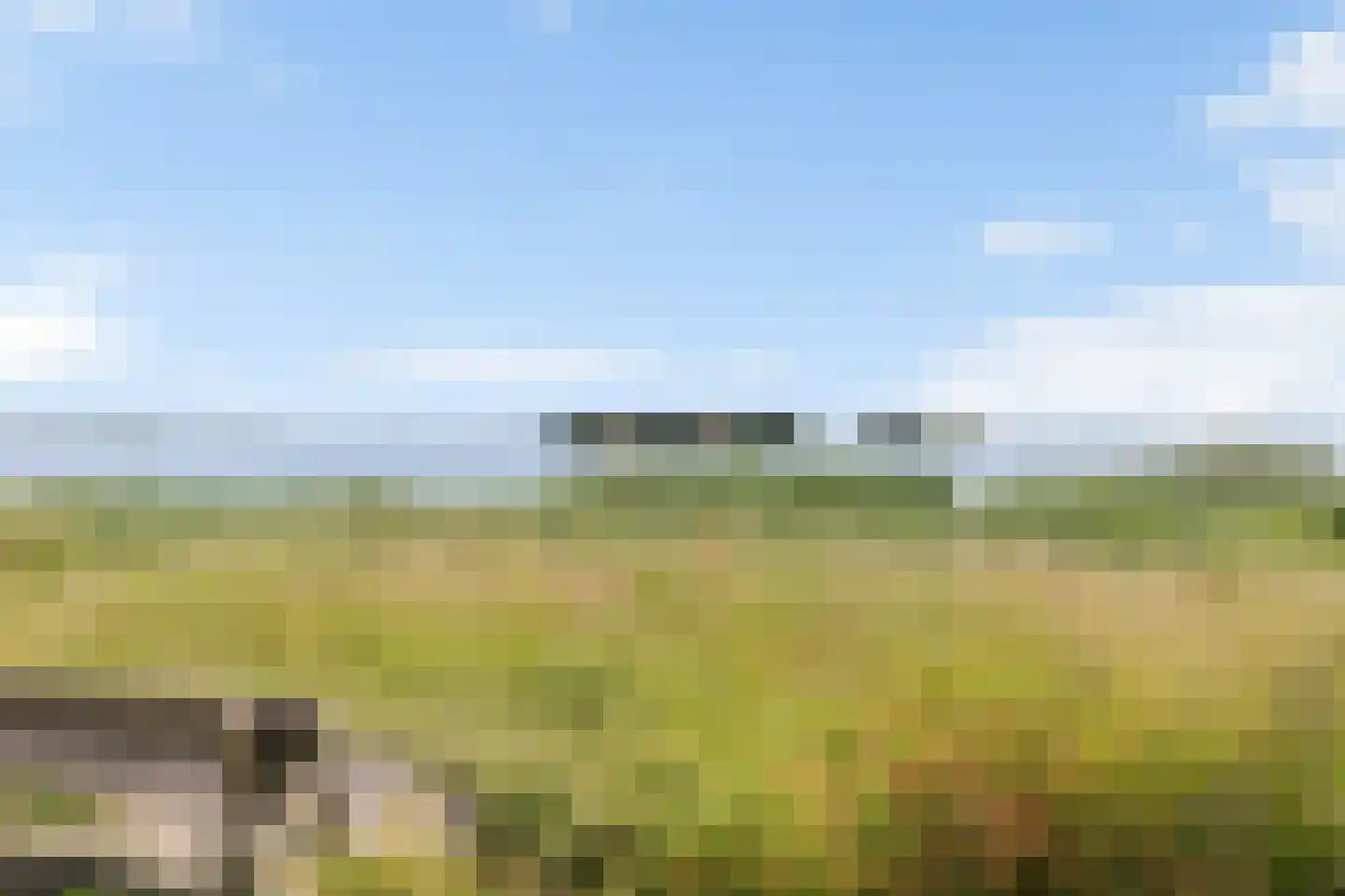 Travers 11 Naarden thumbnail 58