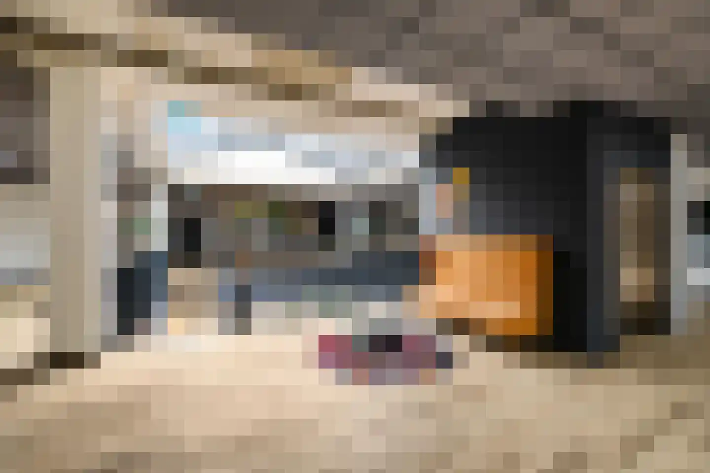 Traverse 123 Assen thumbnail 9