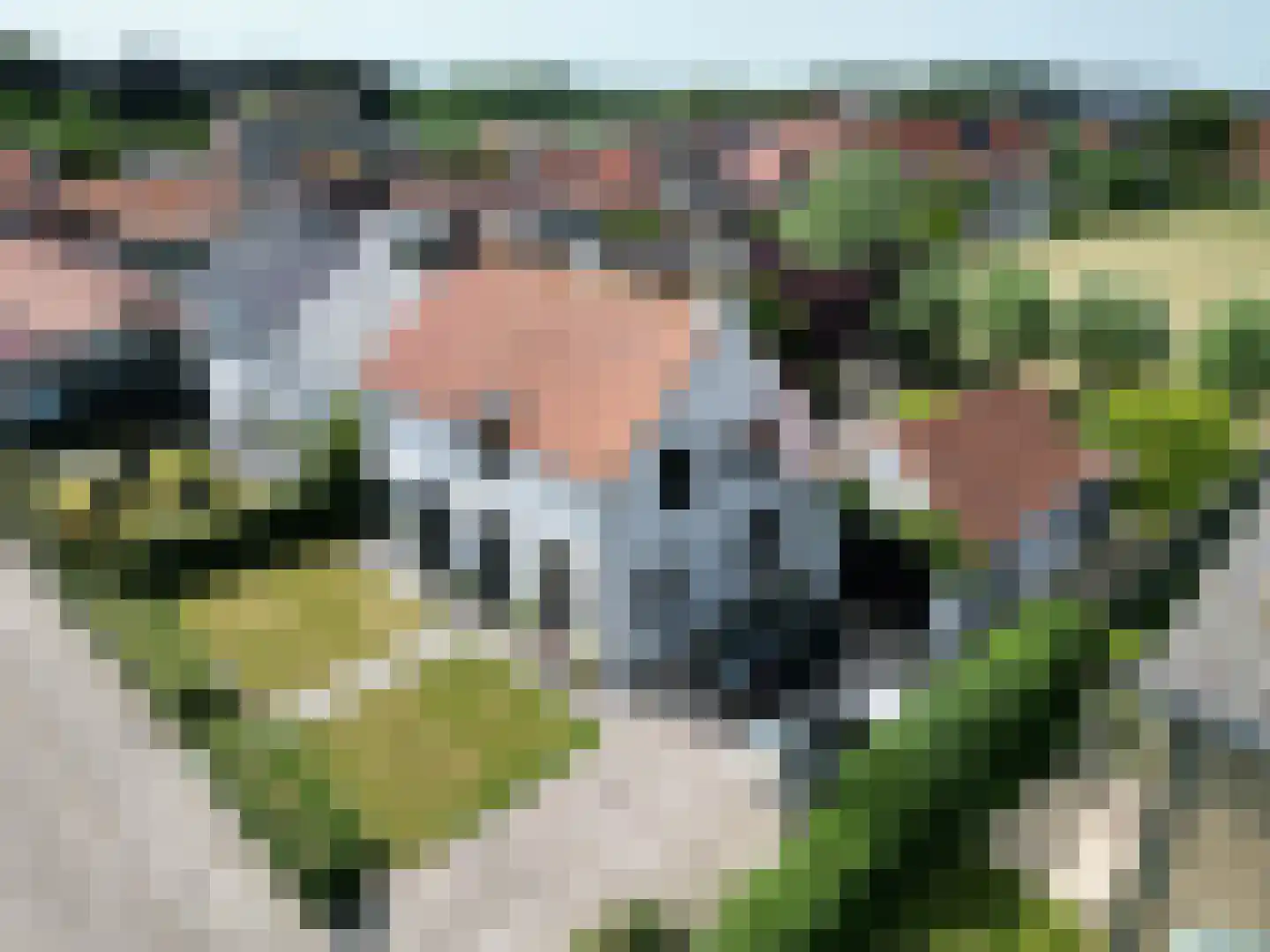 Traverse 16 in Groede