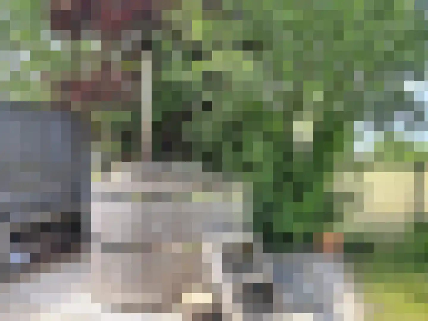 Traverse 16 Groede thumbnail 43