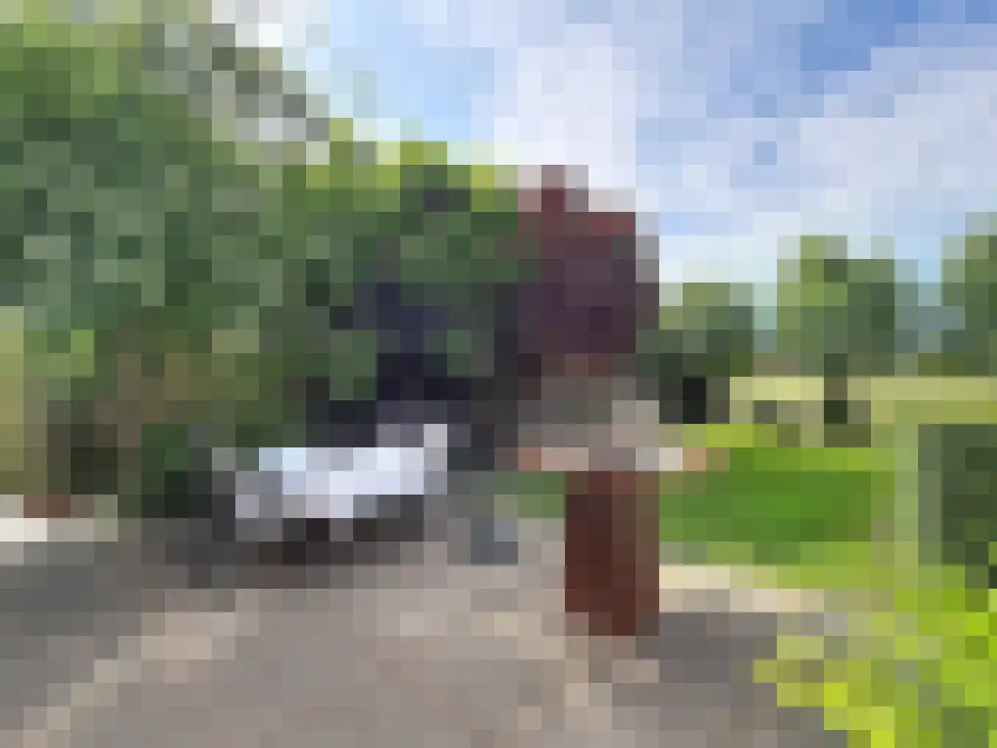 Traverse 16 Groede thumbnail 45