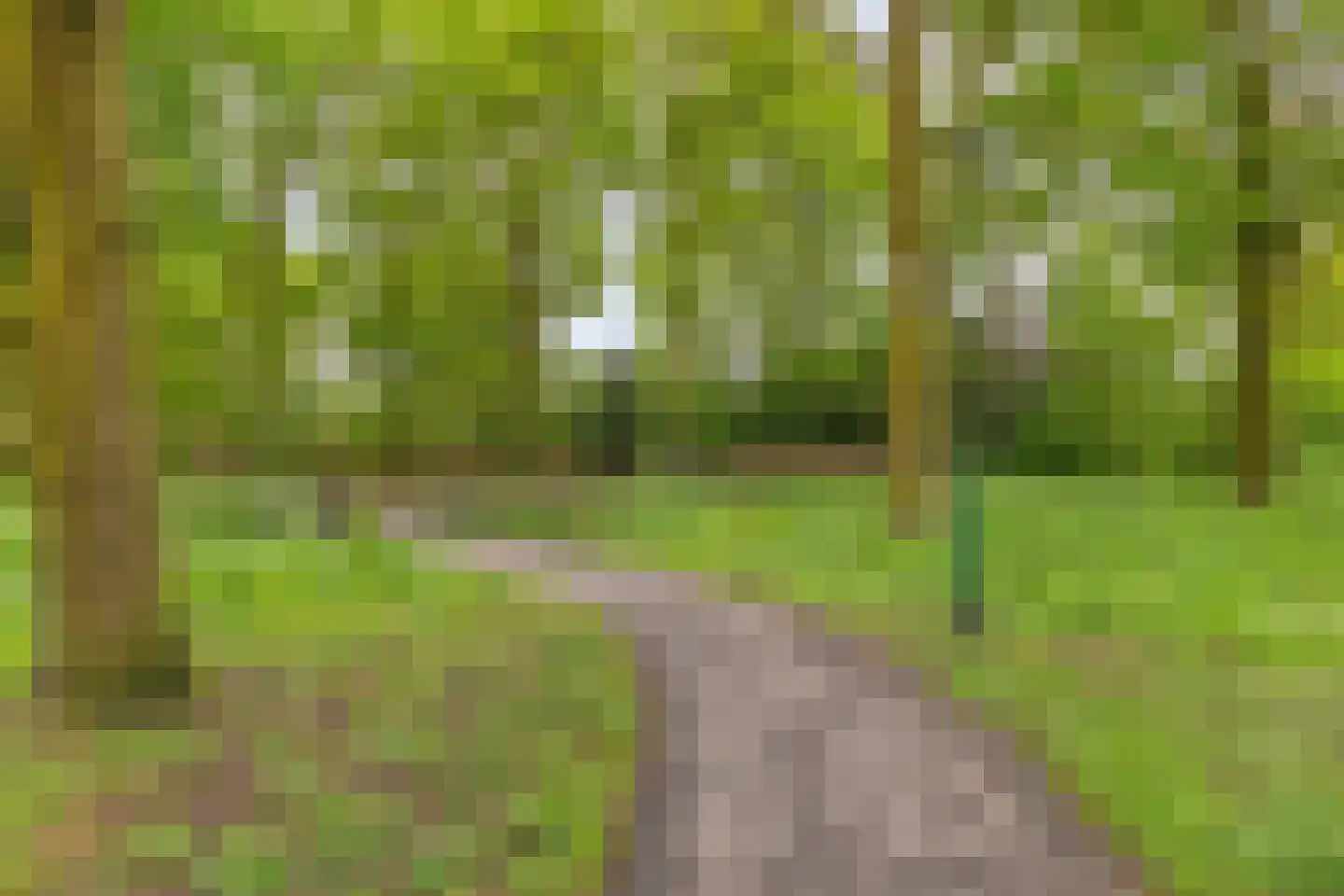 Traverse 23 Grave thumbnail 39