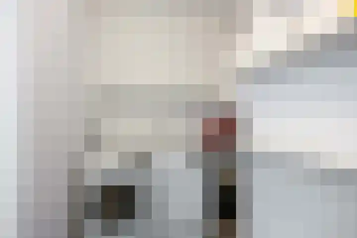 Traverse 27 Assen thumbnail 18