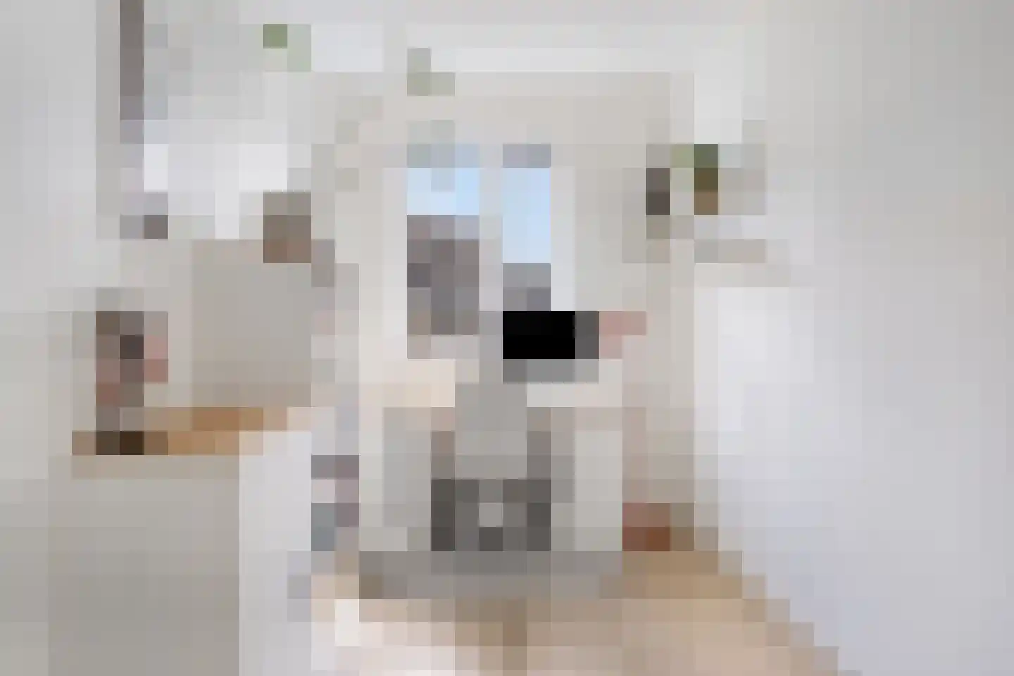 Traverse 3 Assen thumbnail 23