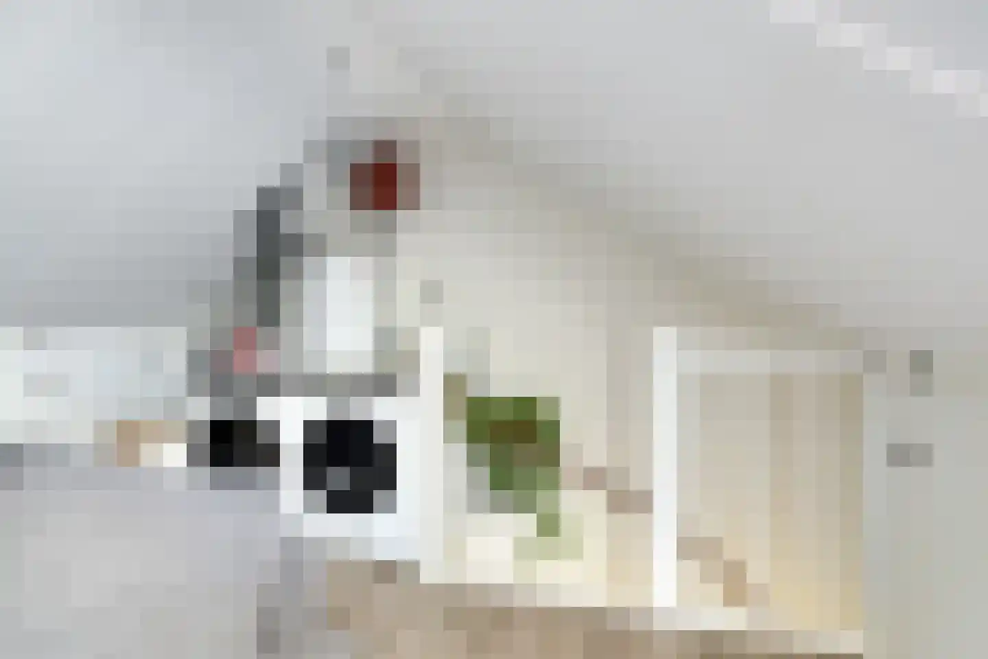 Traverse 3 Assen thumbnail 27