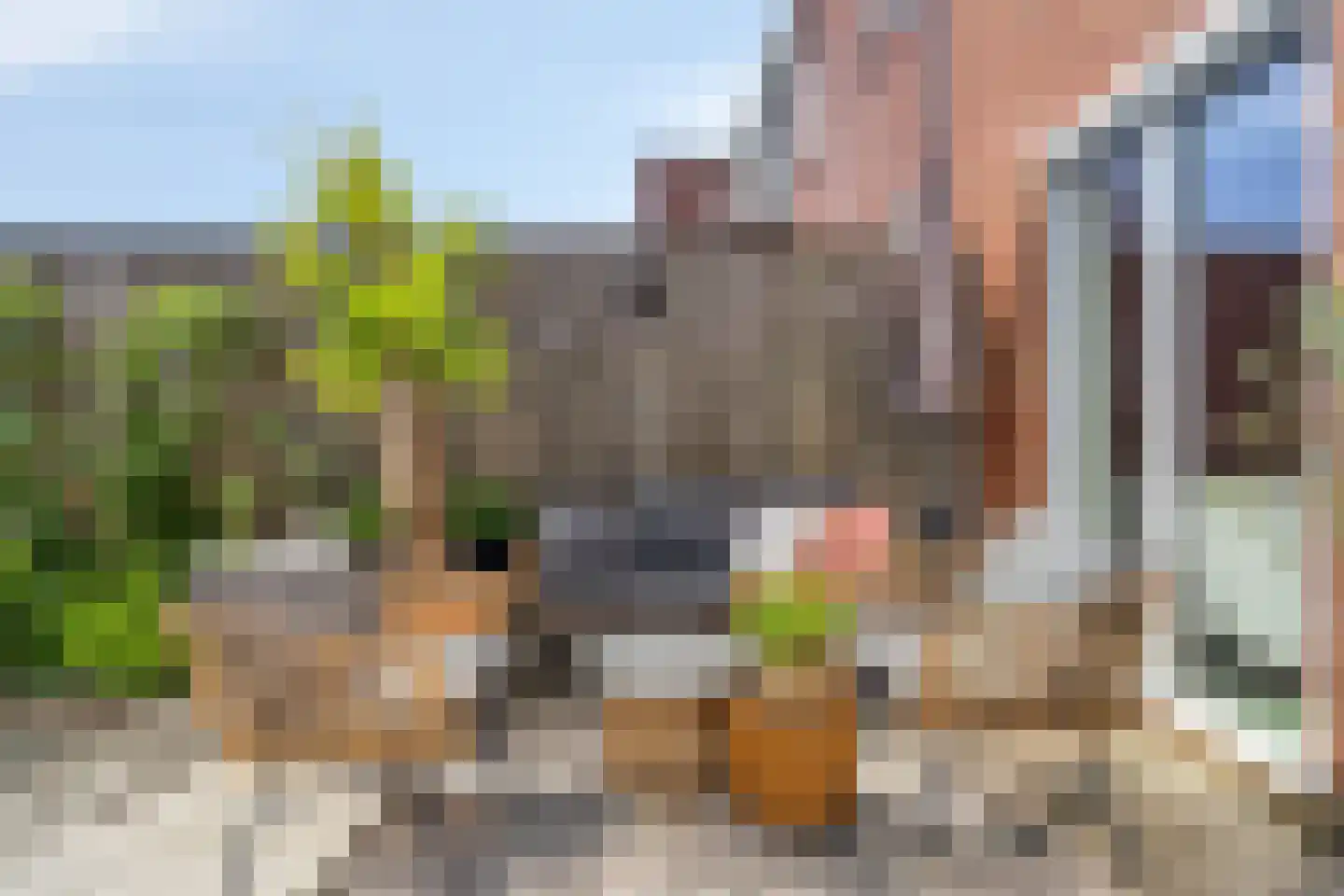 Traverse 3 Assen thumbnail 32