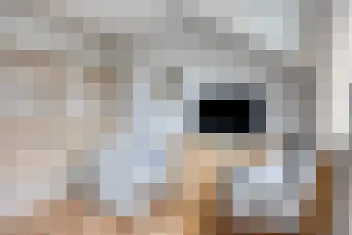 Traverse 3 Grave thumbnail 15