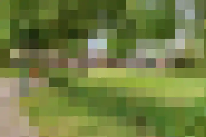 Traverse 3 Grave thumbnail 25