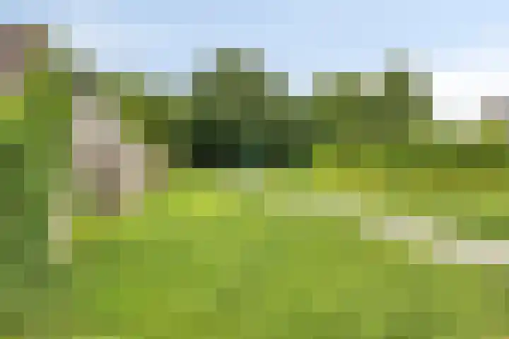 Traverse 3 Grave thumbnail 26