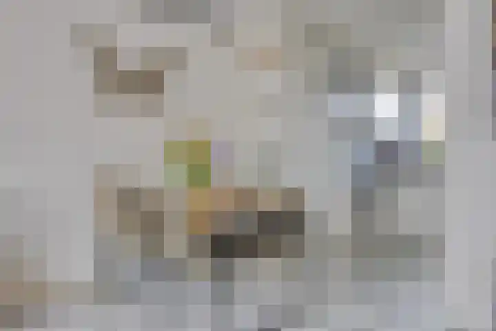 Traverse 3 Grave thumbnail 9