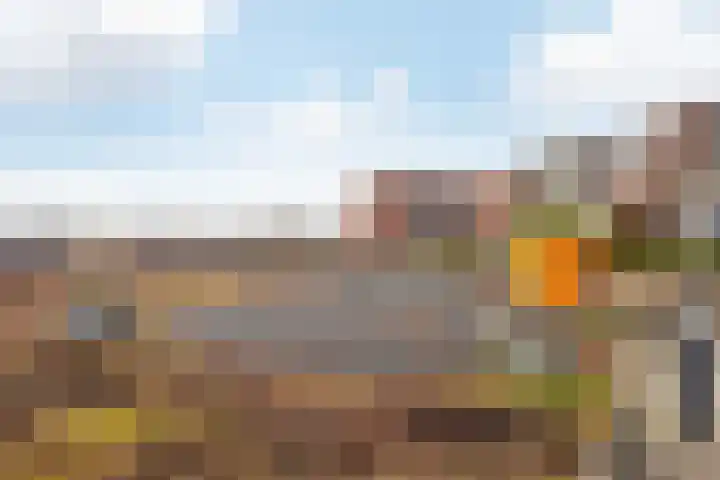 Traverse 31 Assen thumbnail 13