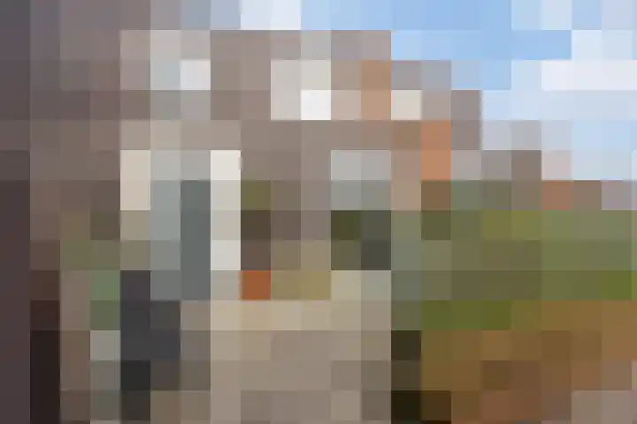 Traverse 31 Assen thumbnail 16