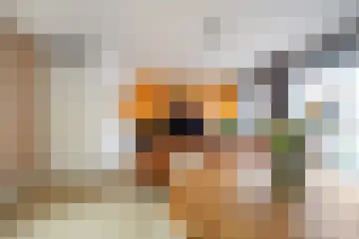 Traverse 31 Assen thumbnail 24