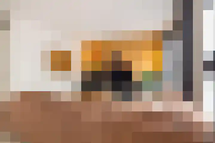 Traverse 31 Assen thumbnail 26
