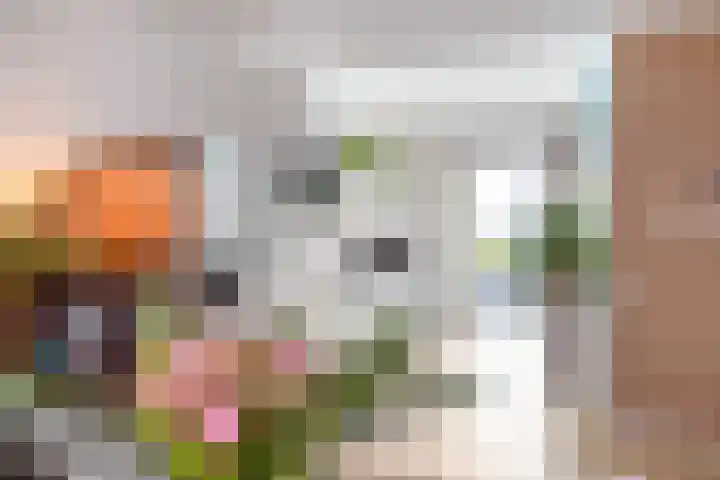 Traverse 31 Assen thumbnail 29
