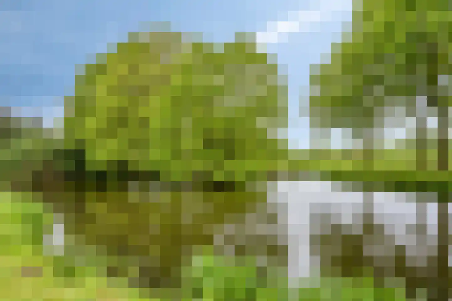Traverse 31 Grave thumbnail 29