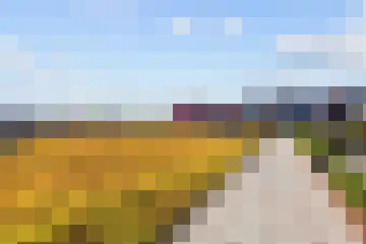 Traverse 33 Assen thumbnail 19
