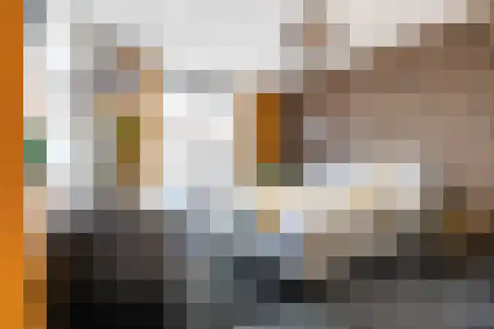 Traverse 33 Assen thumbnail 26