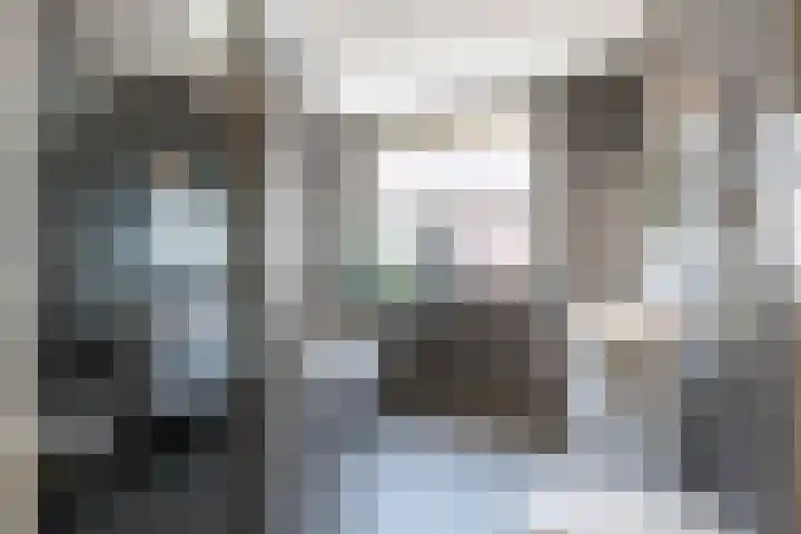 Traverse 33 Assen thumbnail 4
