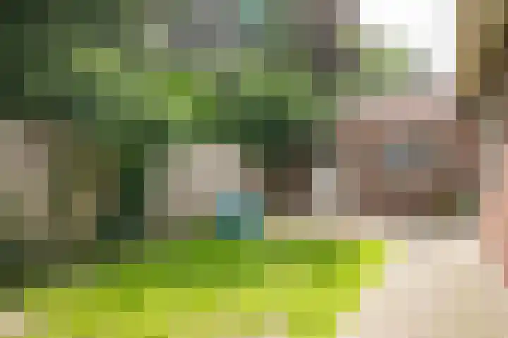 Traverse 33 Assen thumbnail 47