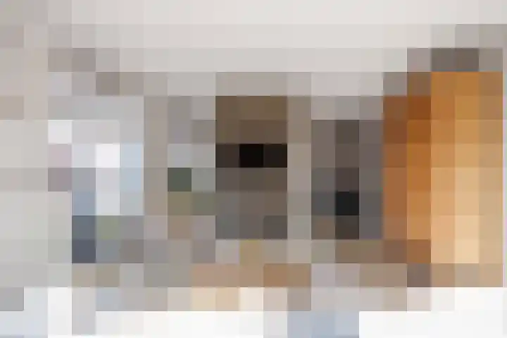 Traverse 33 Assen thumbnail 6