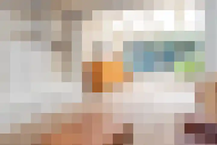 Traverse 33 Assen thumbnail 75