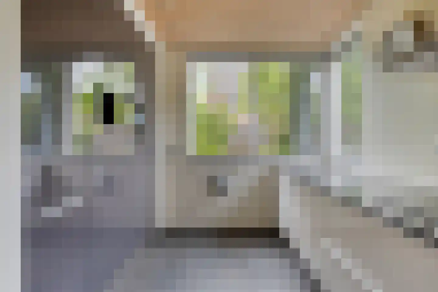 Traverse 4 Grave thumbnail 13