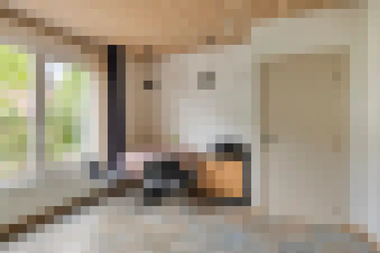 Traverse 4 Grave thumbnail 17