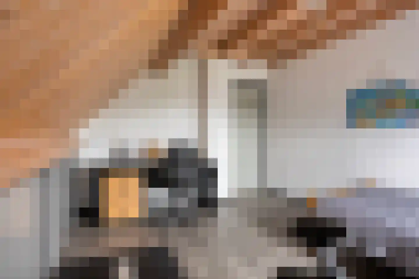 Traverse 4 Grave thumbnail 25