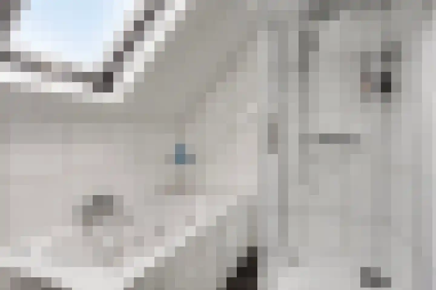 Traverse 4 Grave thumbnail 26