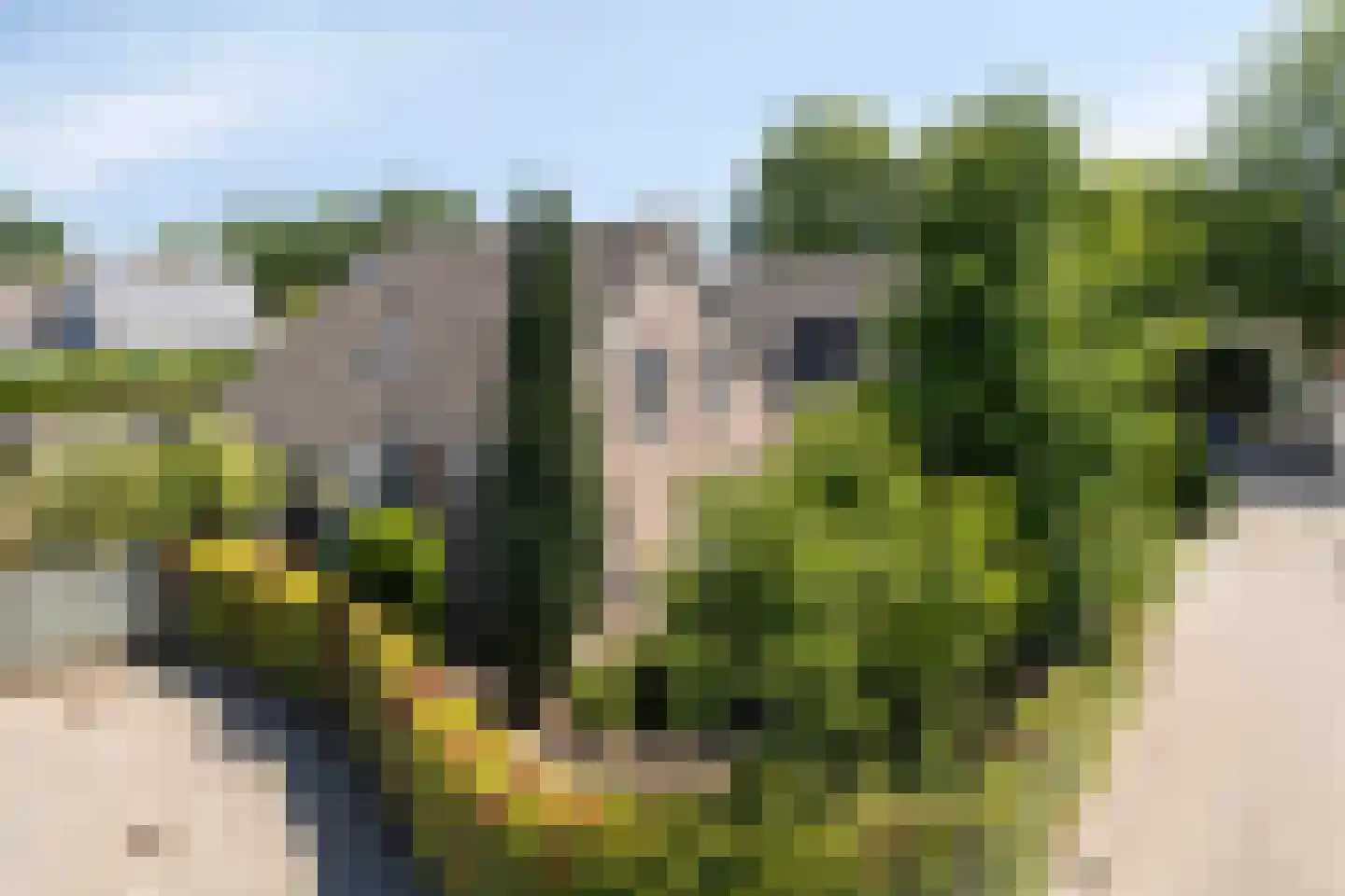 Traverse 4 Grave thumbnail 42