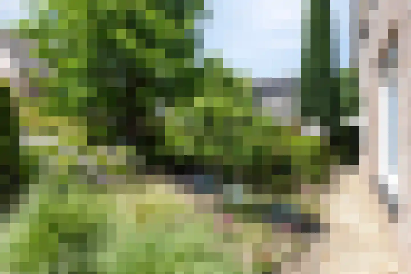 Traverse 4 Grave thumbnail 44