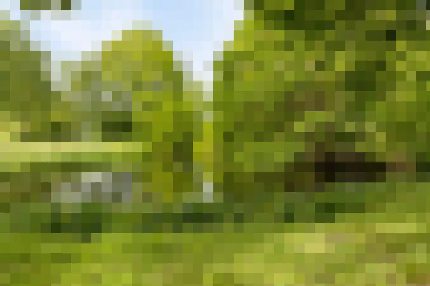Traverse 4 Grave thumbnail 46