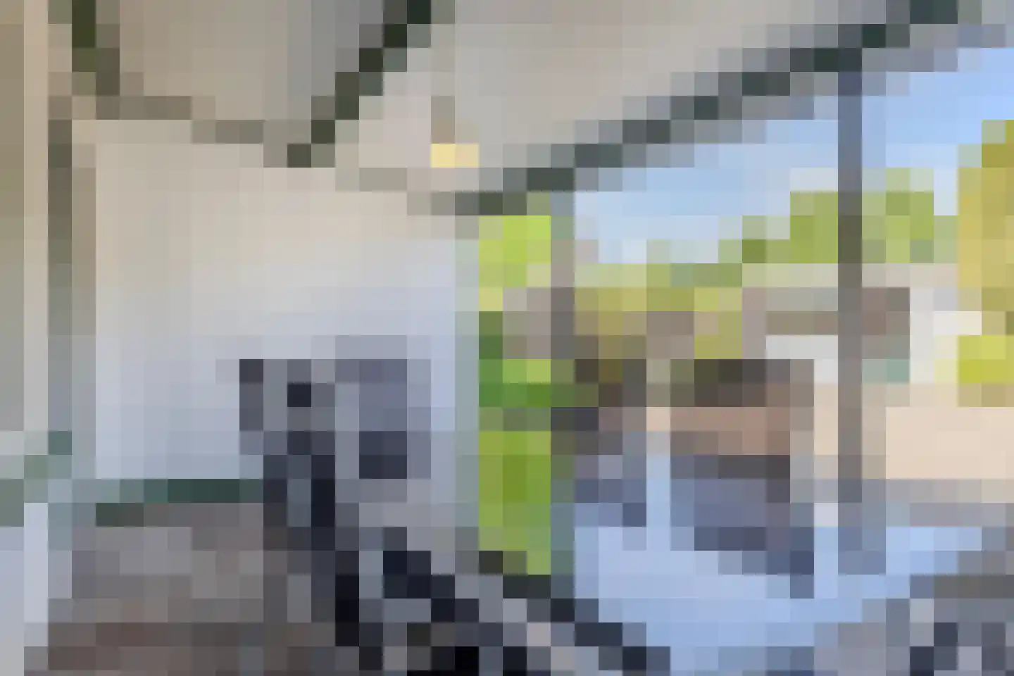 Traverse 48 Grave thumbnail 26
