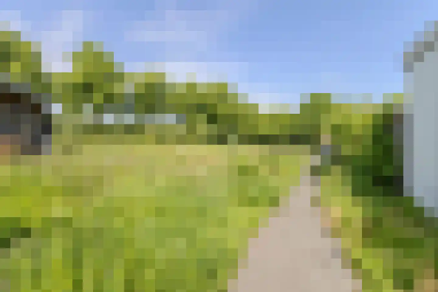 Traverse 48 Grave thumbnail 31