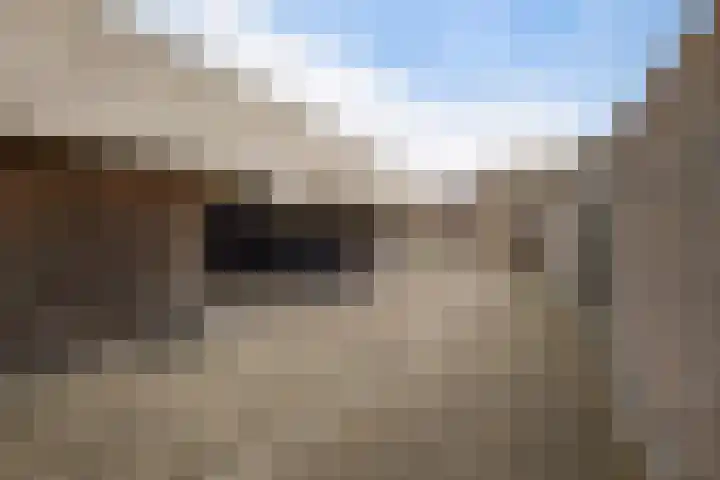 Traverse 6 Assen thumbnail 34