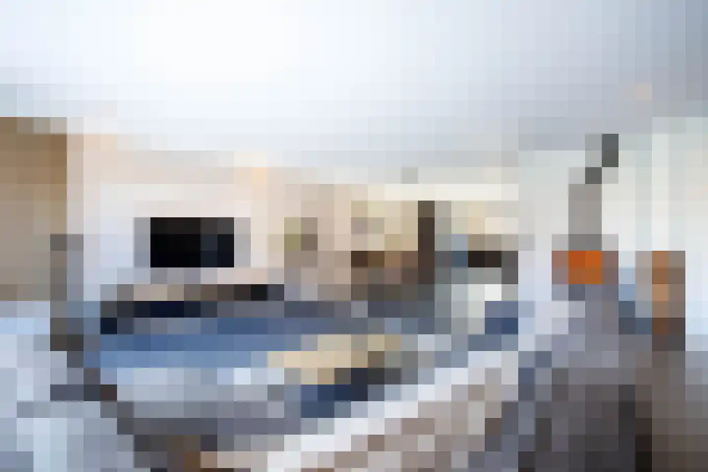 Traverse 6 Bergambacht thumbnail 11