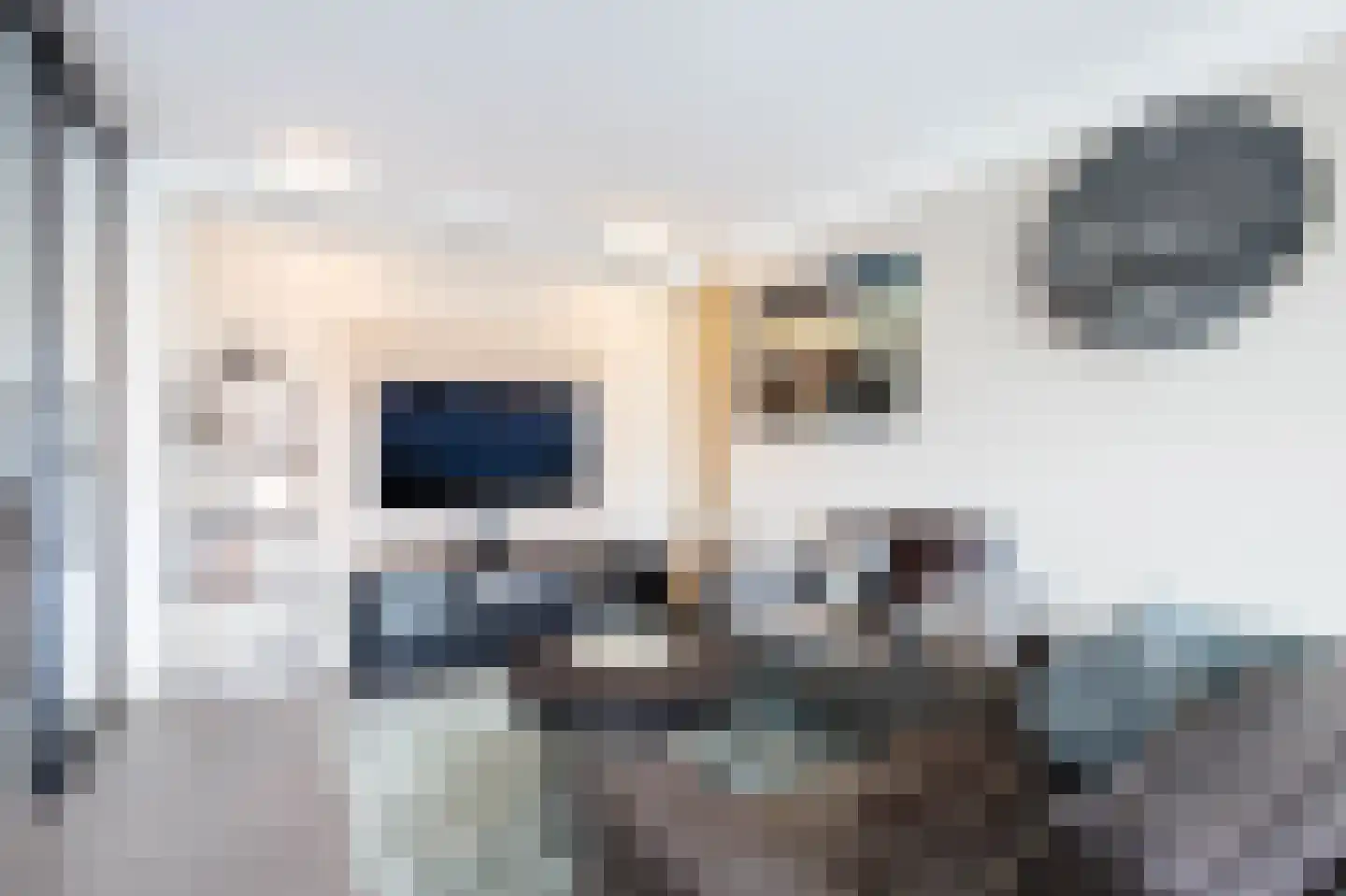 Traverse 6 Bergambacht thumbnail 17
