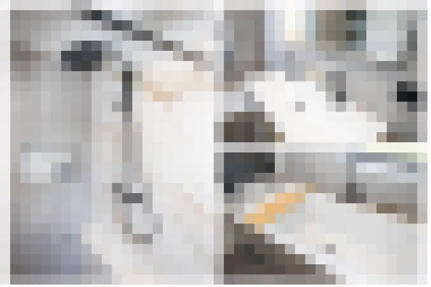 Traverse 6 Bergambacht thumbnail 33