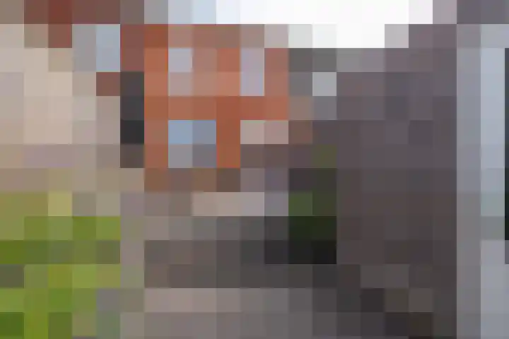 Traverse 9 Assen thumbnail 4