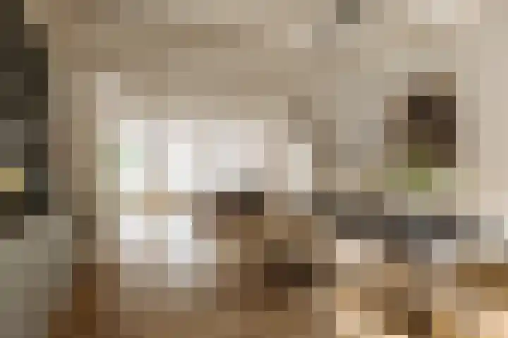 Traverse 9 Assen thumbnail 43