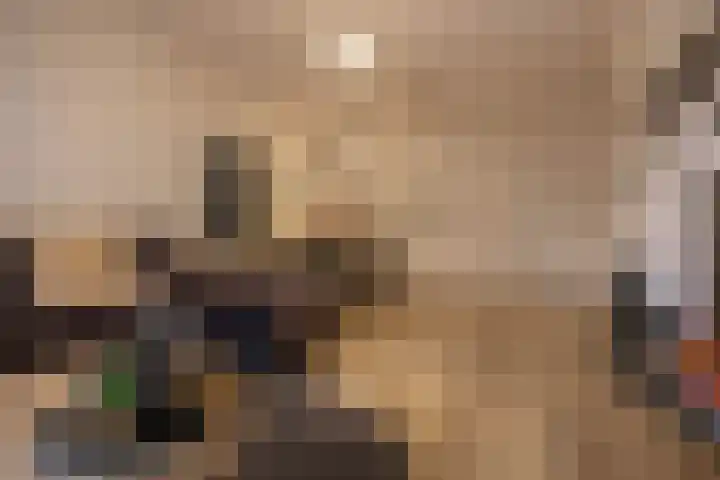 Traverse 95 Assen thumbnail 15