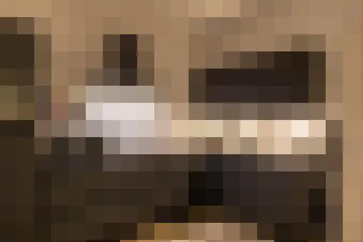 Traverse 95 Assen thumbnail 18