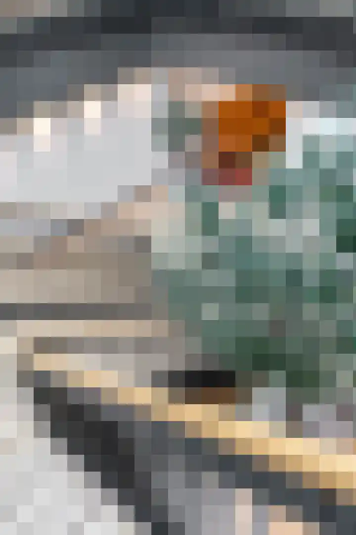 Traverse 95 Assen thumbnail 9