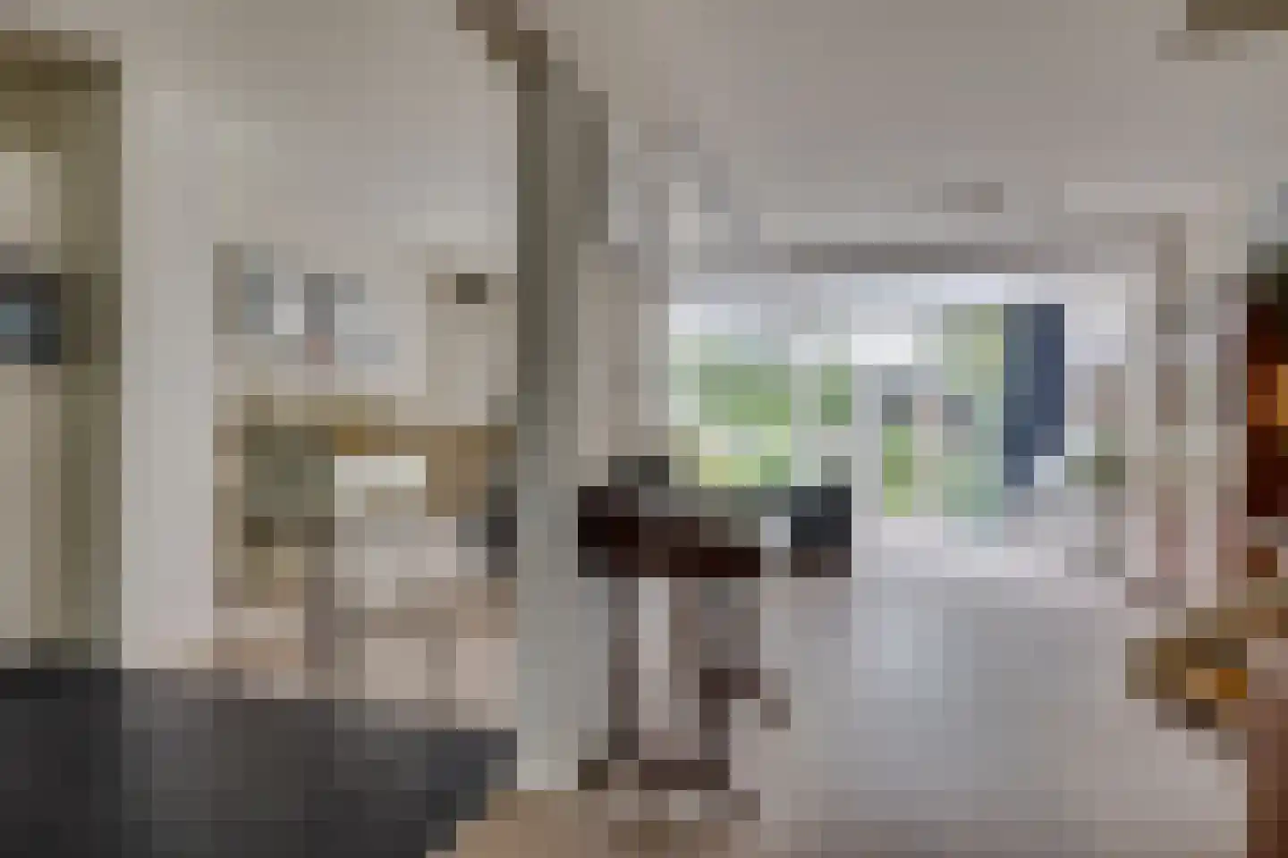 Travertijn 35 Leusden thumbnail 7