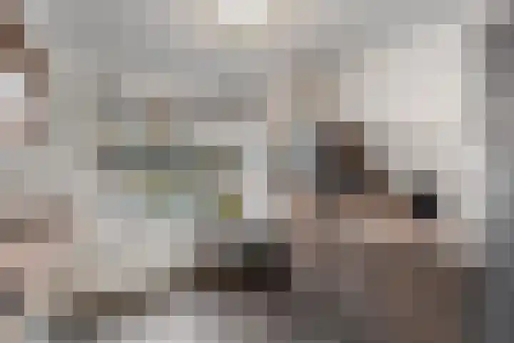 Travertijndijk 24 Roosendaal thumbnail 14
