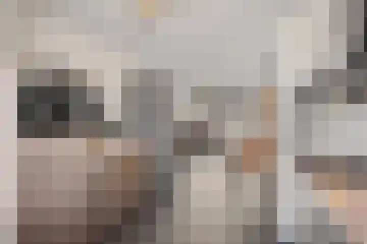Travertijndijk 24 Roosendaal thumbnail 17