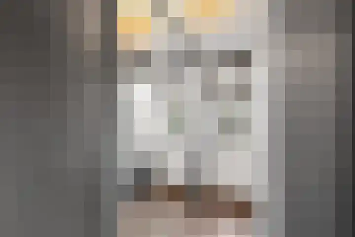 Travertijndijk 24 Roosendaal thumbnail 28