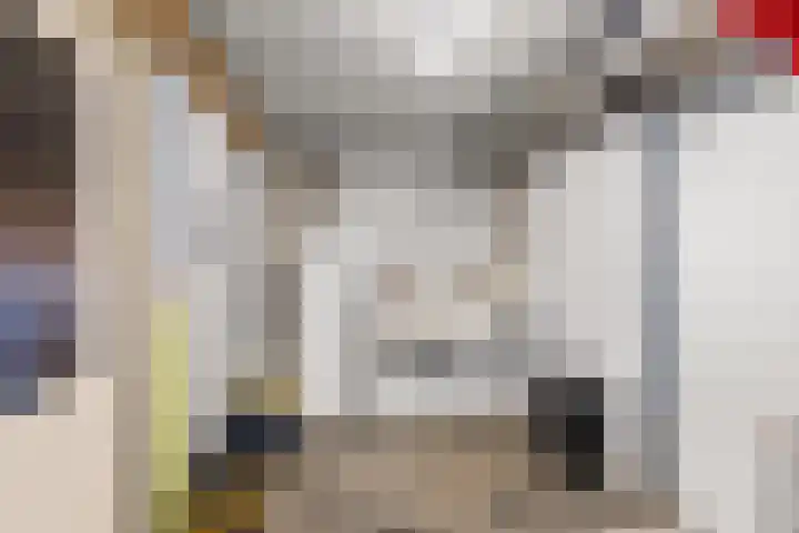 Travertijndijk 24 Roosendaal thumbnail 32